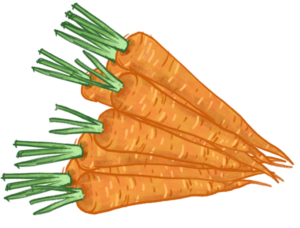 Et bundt gulerødder