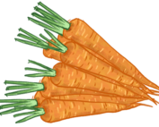 et bundt gulerødder