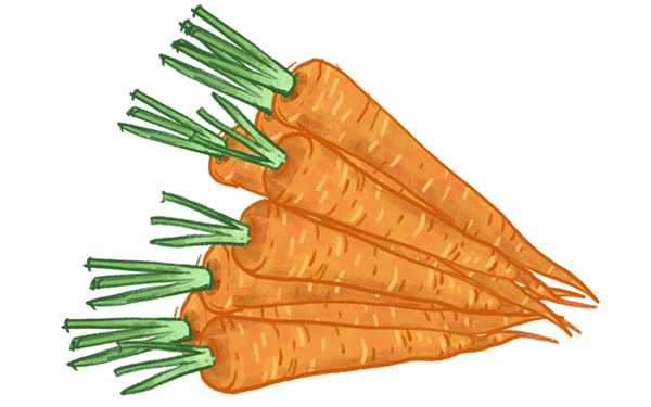 et bundt gulerødder