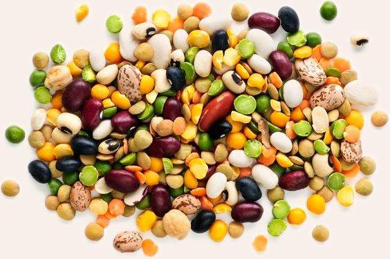 depositphotos_4483675-stock-photo-dry-beans-and-peas bælgfrugter