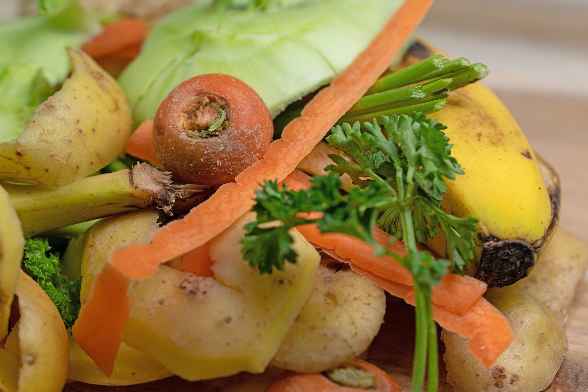 Biowaste in the kitchen, close-up