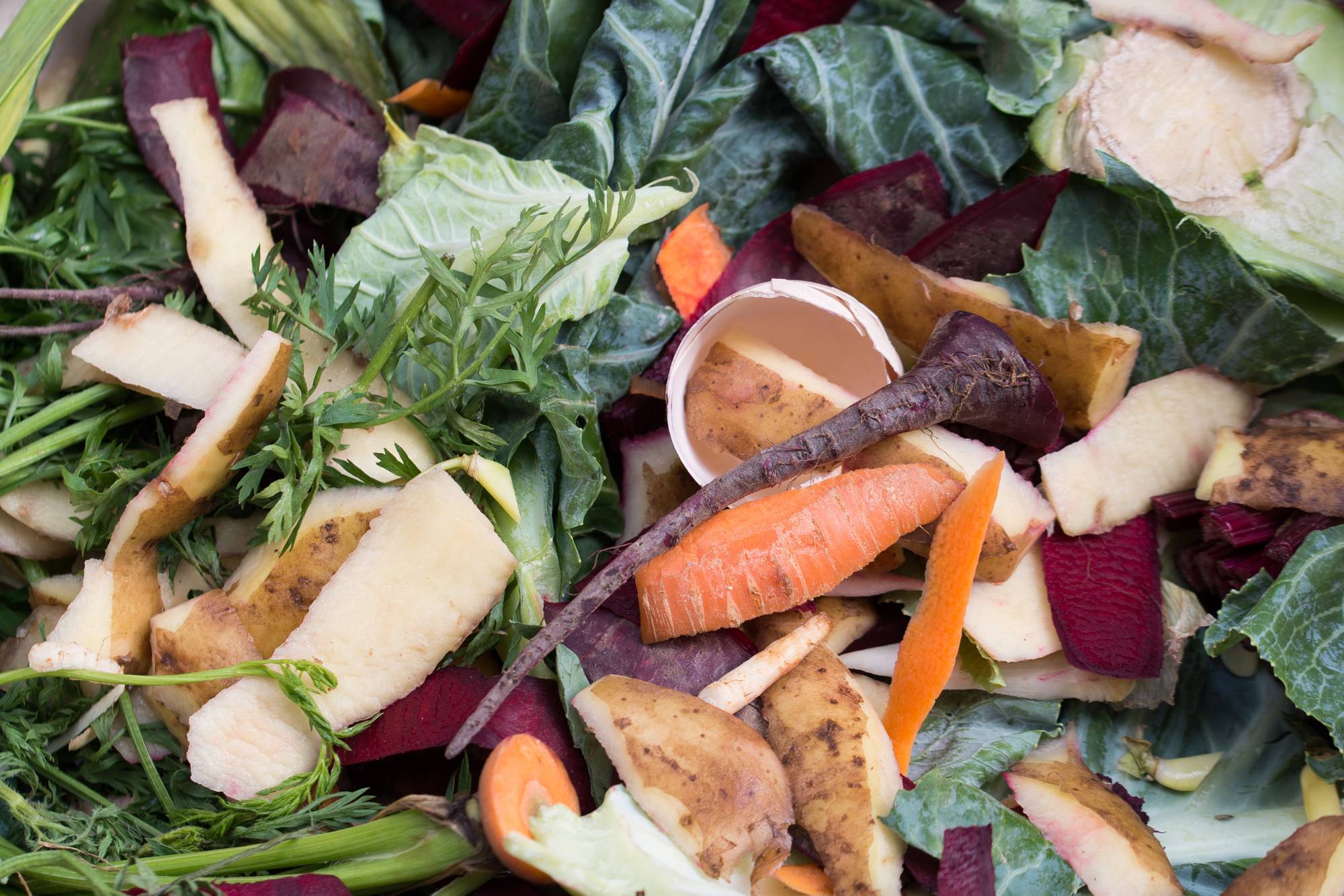 composting, organic food waste closeup madspild