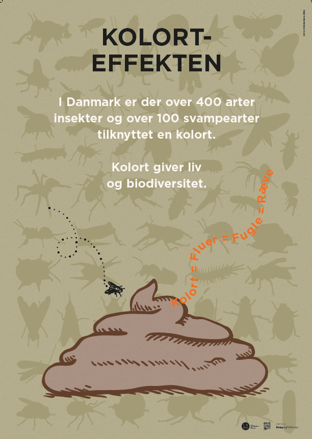 plakat kolort