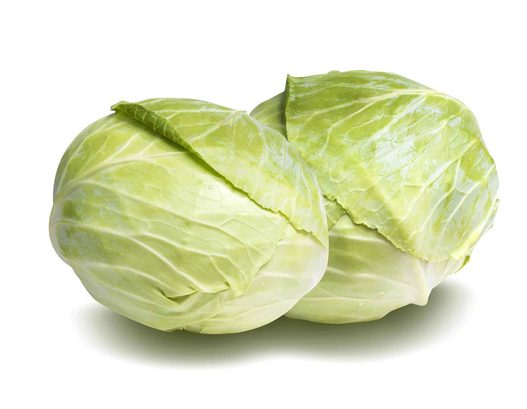 hvid kål